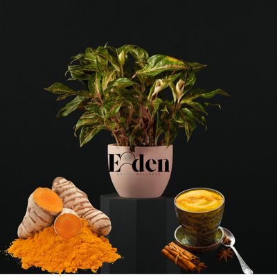 Tumeric Tea