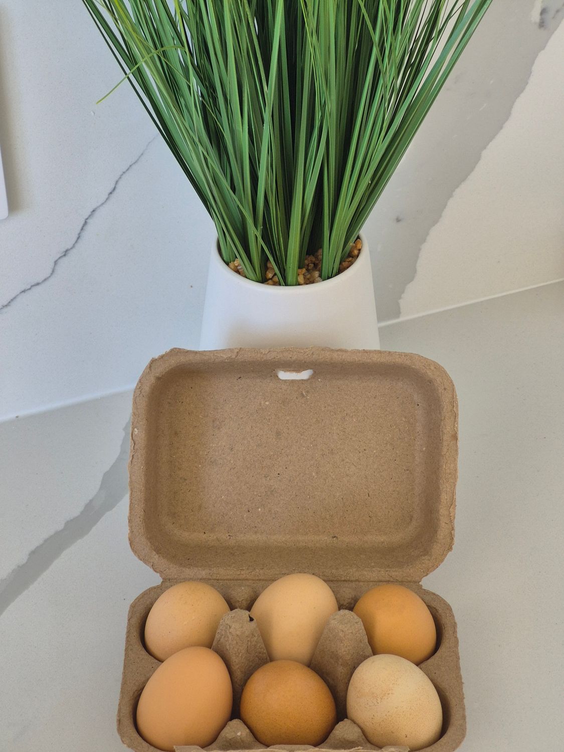 Eden Farm Eggs~ Local Orders Only