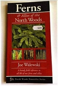 North Woods Ferns & Allies