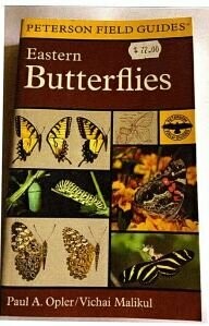 Eastern Butterflies