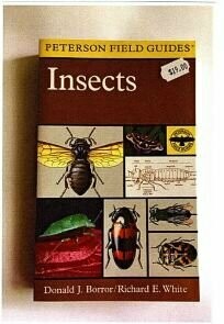 Insects