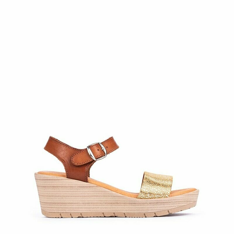 MODELO 212 BURBUJAS CAMEL