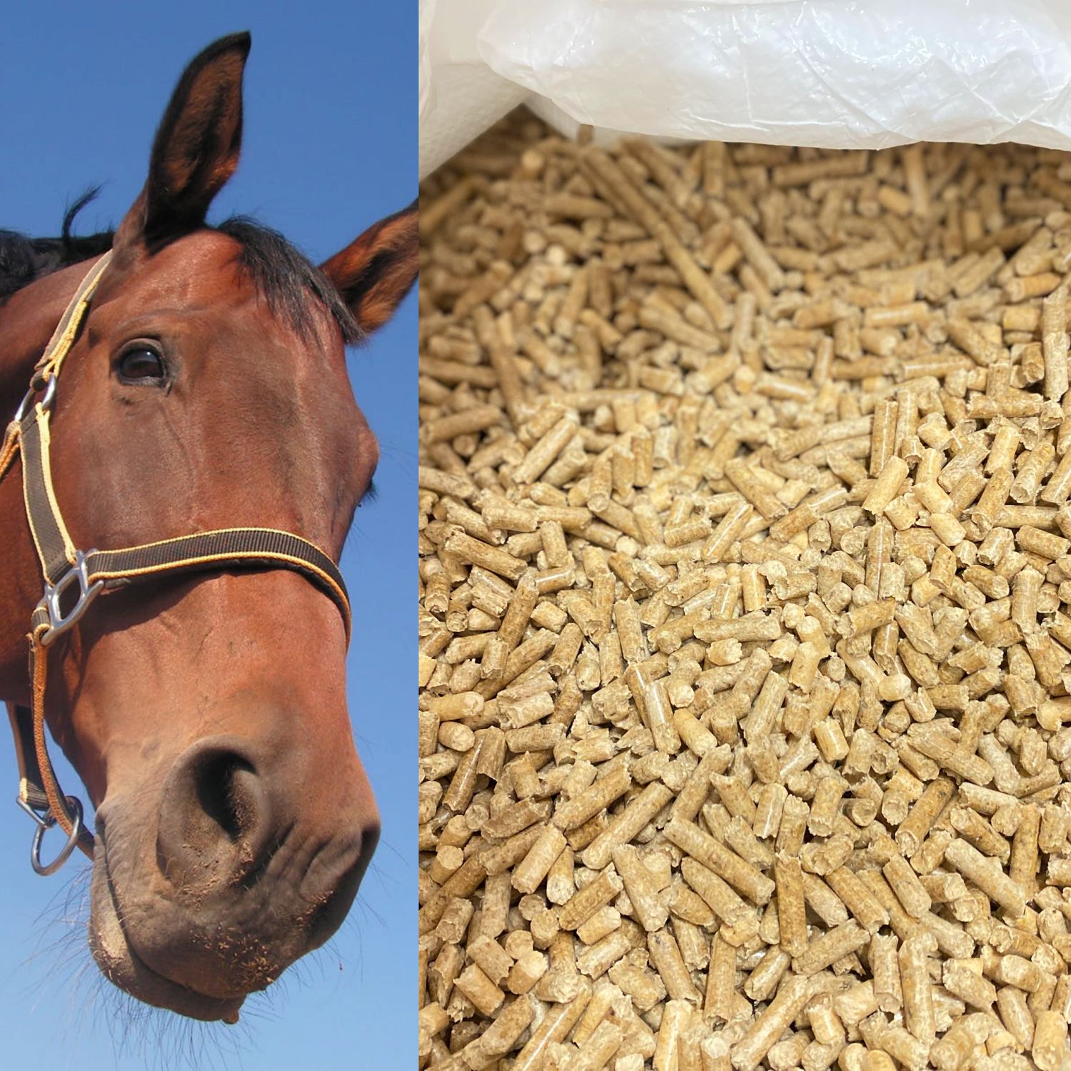 pelletti hevosille
kuivikepelletti hevosille