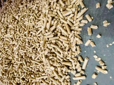 pelletti