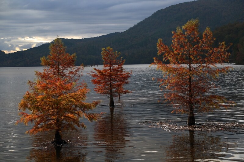 Fall is in the Air