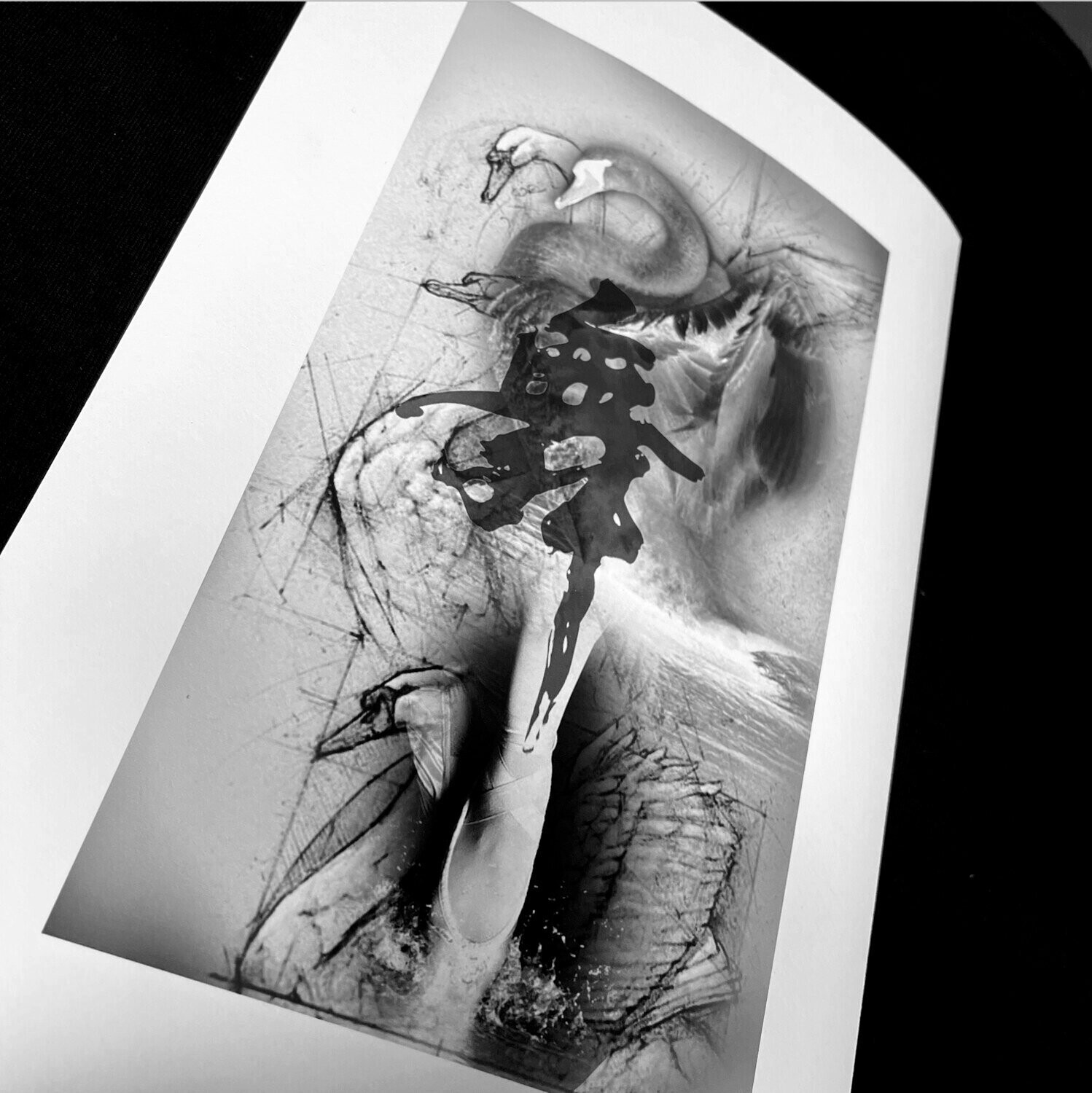 Swan Dance Art Print