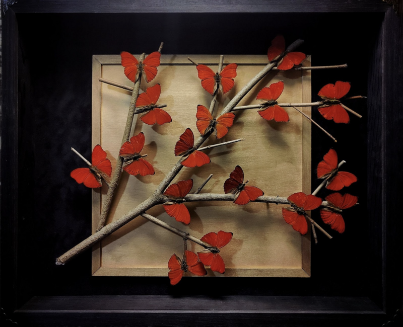 "Blossom Branch"