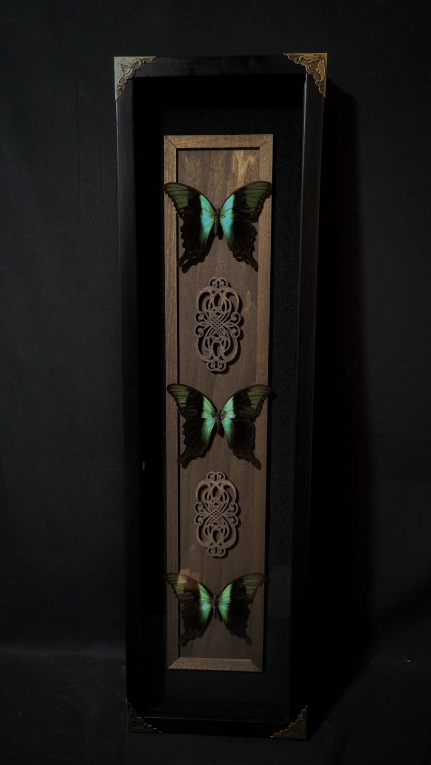 "Triplet v. 1" Frame Size: 7"x28"