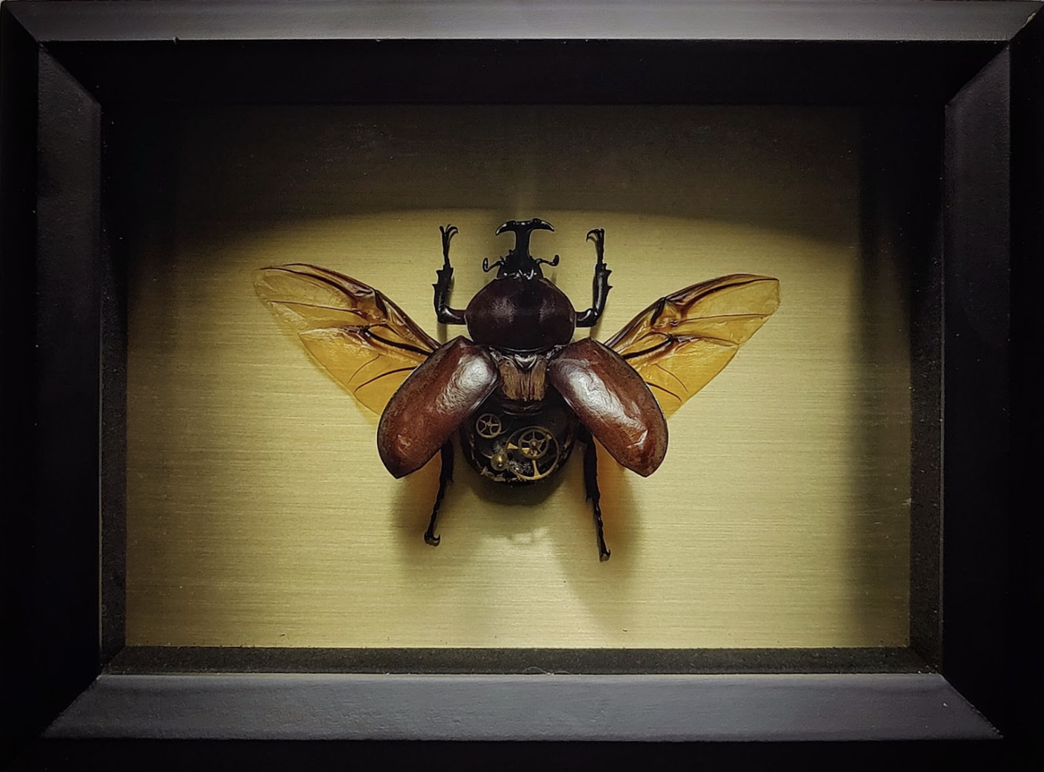 "Steambug V. 2" READ DESCRIPTION, NOT FOR SALE