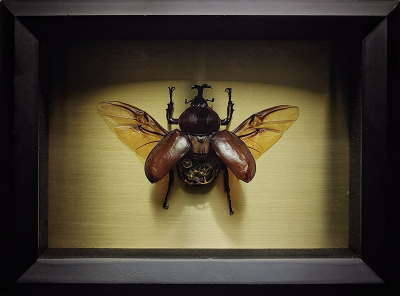 "Steambug V. 2" READ DESCRIPTION, NOT FOR SALE