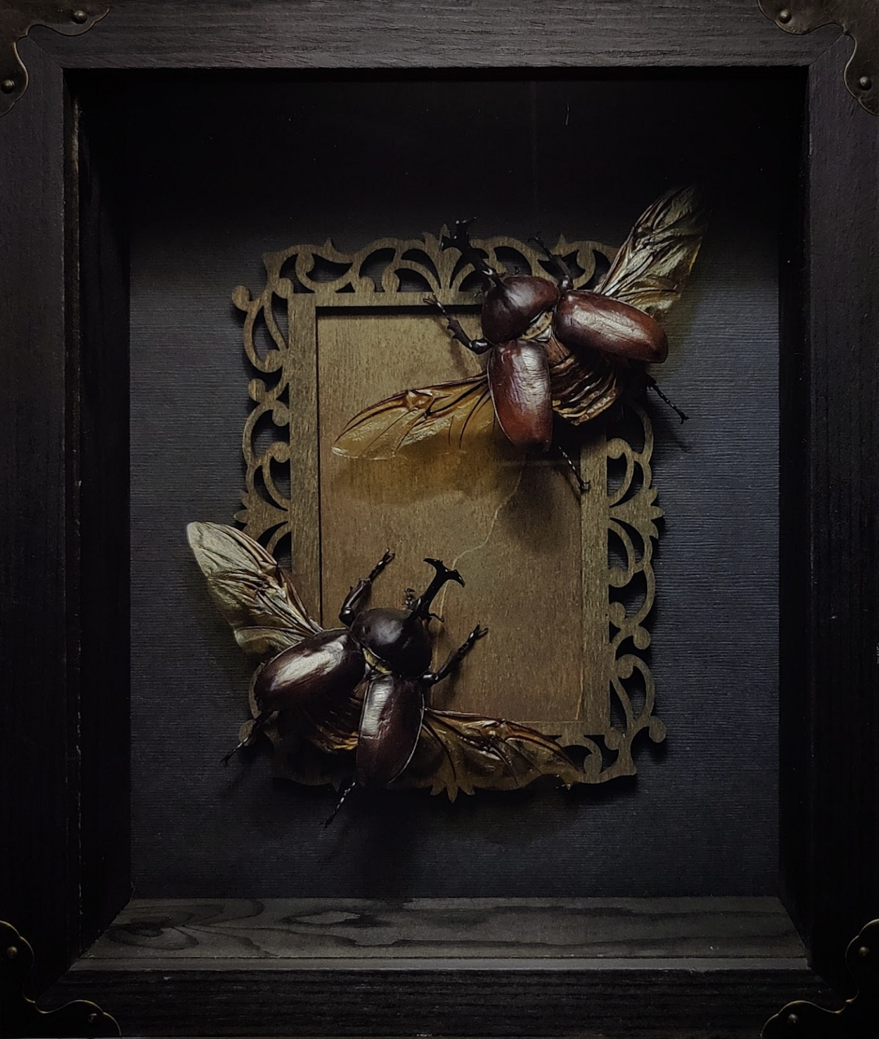 “Fight/Flight” Frame Size: 8" x 10"