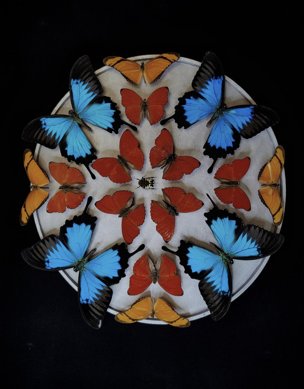 “Pinwheel” Frame Size: 16" x 20"