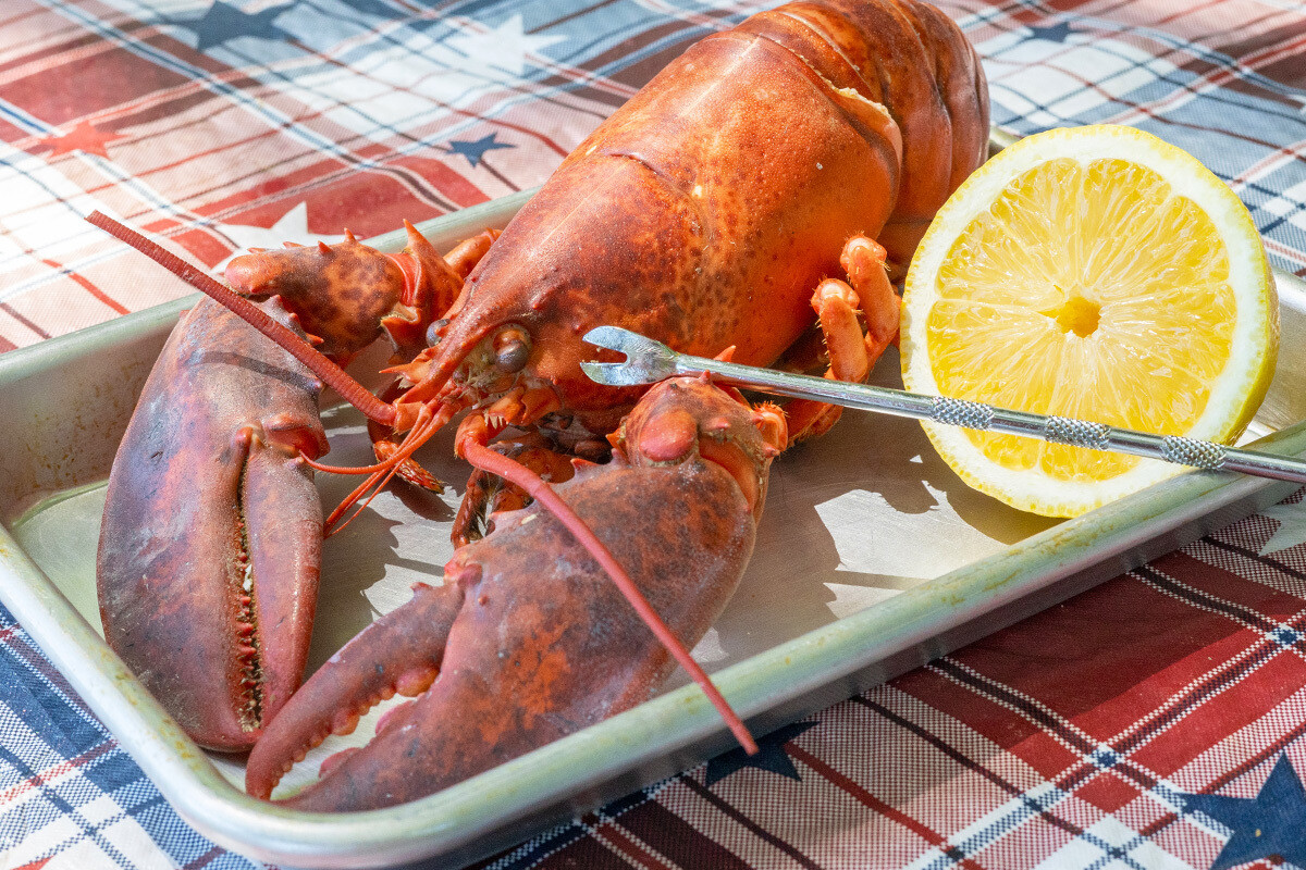 6 Live Maine Lobster (1.25Lb average)