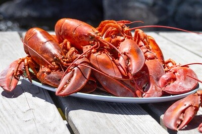 10 Live Maine Lobsters 10 Live Maine Lobsters