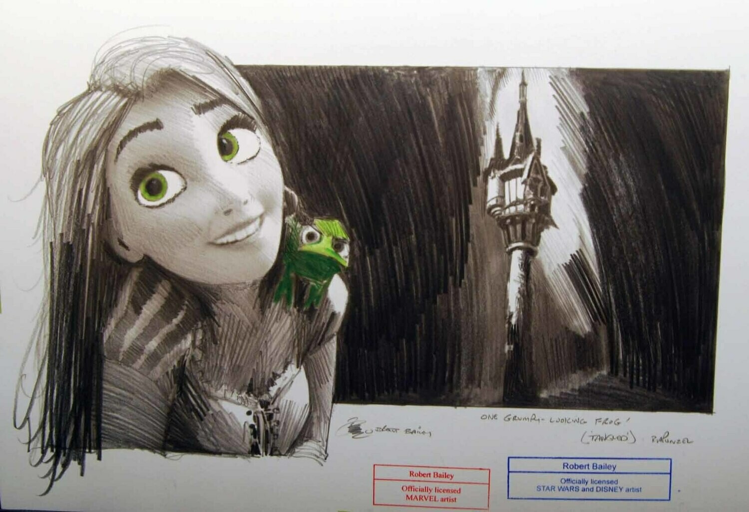 One Grumpy Chameleon.