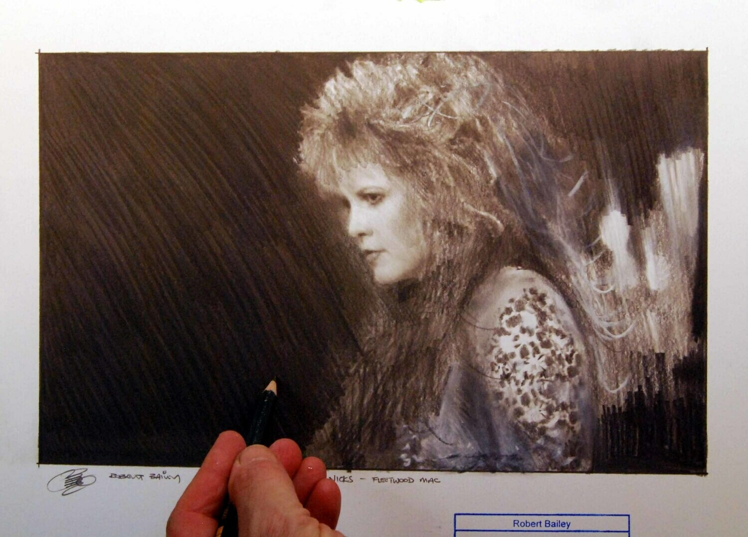 STEVIE NICKS.  (Fleetwood Mac).