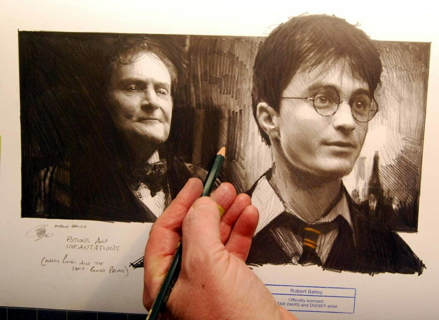 POTIONS AND INCANTATIONS.  (The Half Blood Prince).