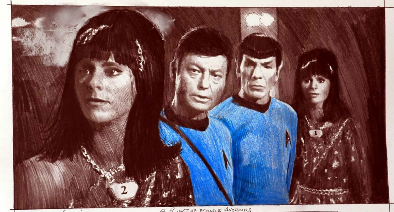 A PLANET OF FEMALE ANDROIDS.