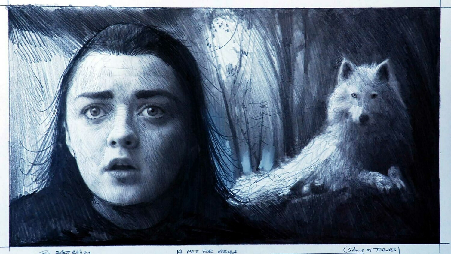 A PET FOR ARYA. (Game of Thrones).