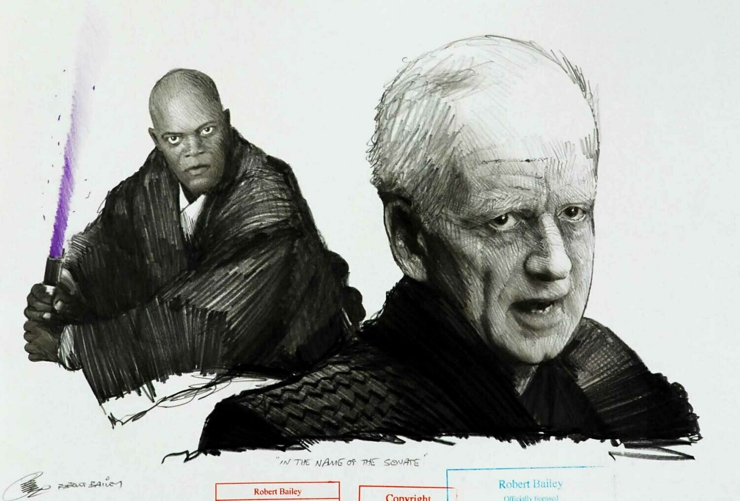 IN THE NAME OF THE SENATE.