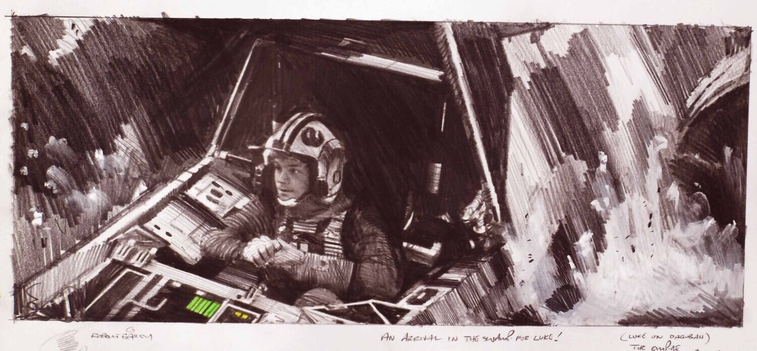 AN ARRIVAL IN THE SWAMP.