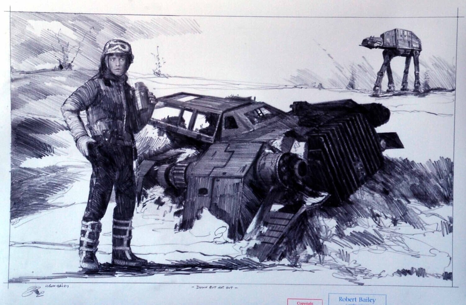 DOWN BUT NOT OUT. (Medium Size).