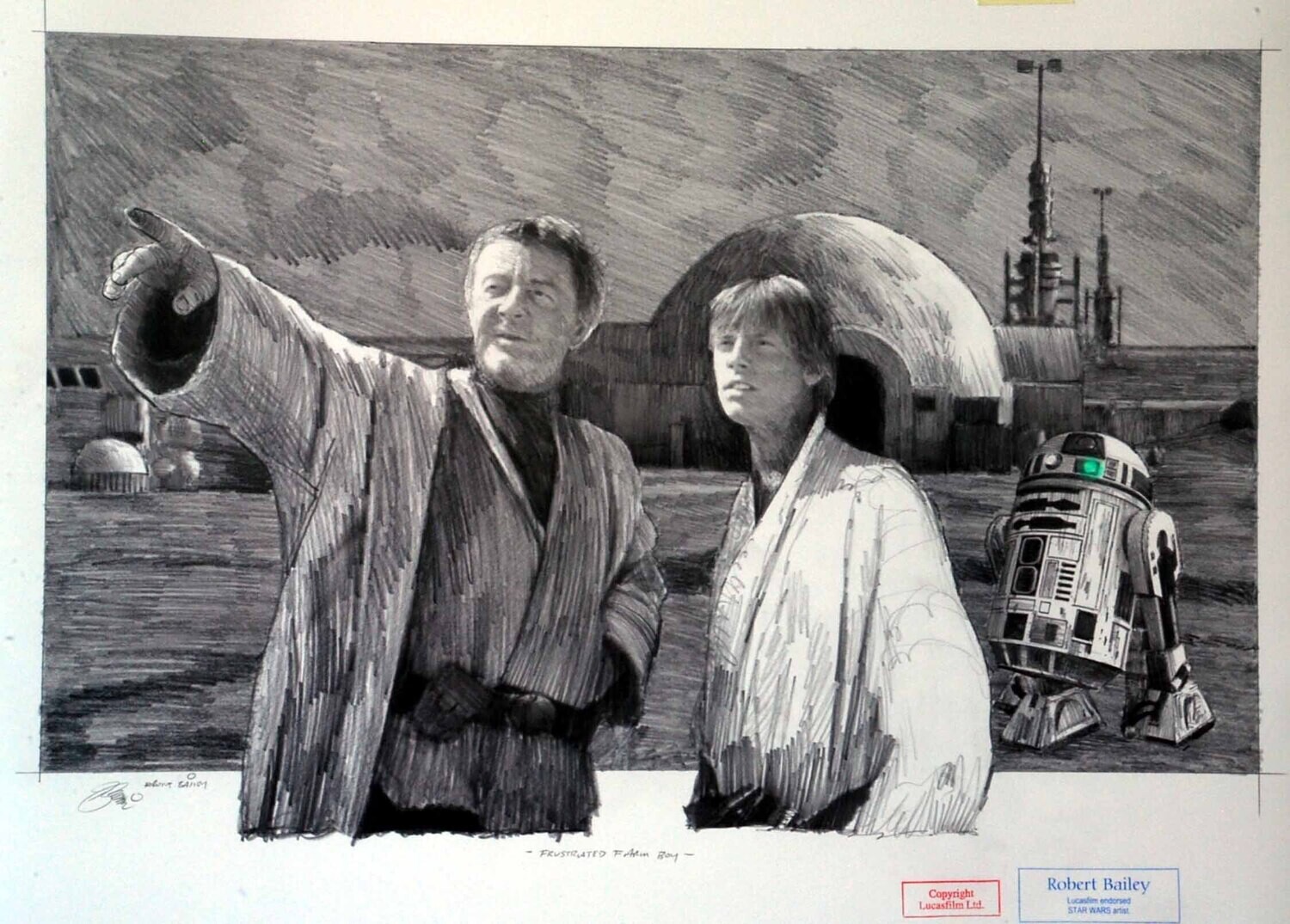 FRUSTRATED FARM BOY.  (Medium Size).