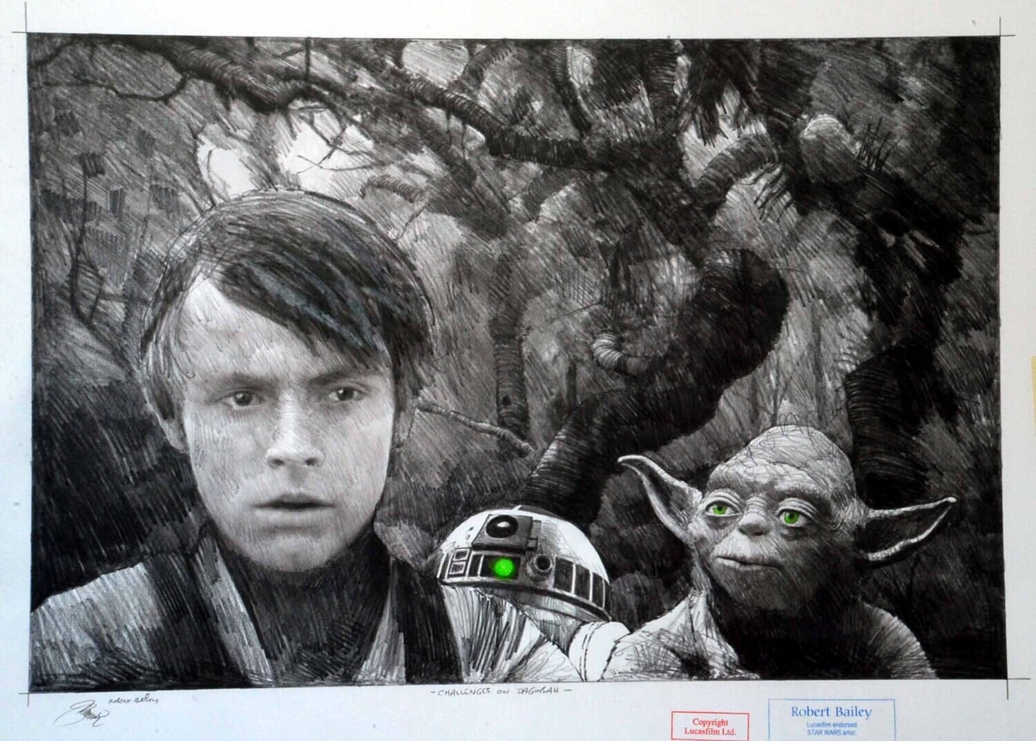 CHALLENGES ON DAGOBAH.  (Medium Size).