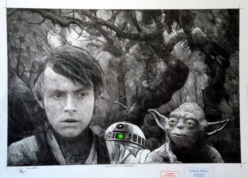 CHALLENGES ON DAGOBAH.  (Medium Size).