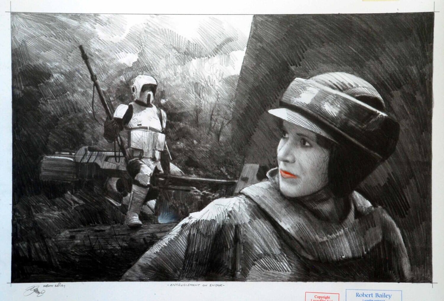 ENTANGLEMENT ON ENDOR.  (Medium Size).