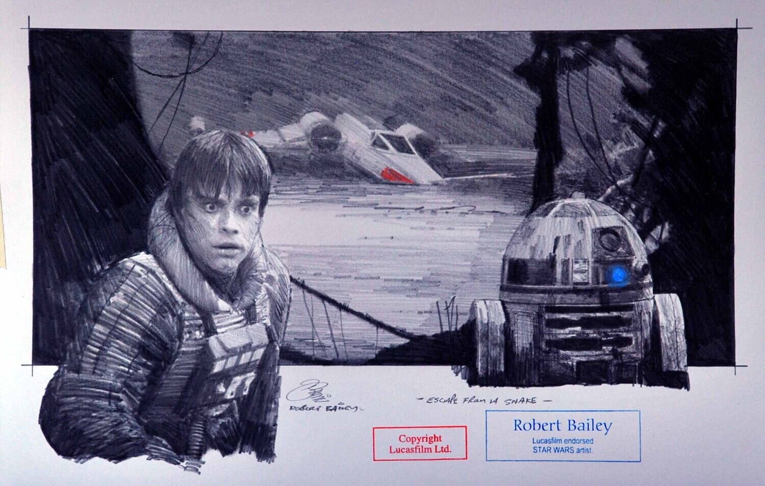 ESCAPE FROM A SNAKE.