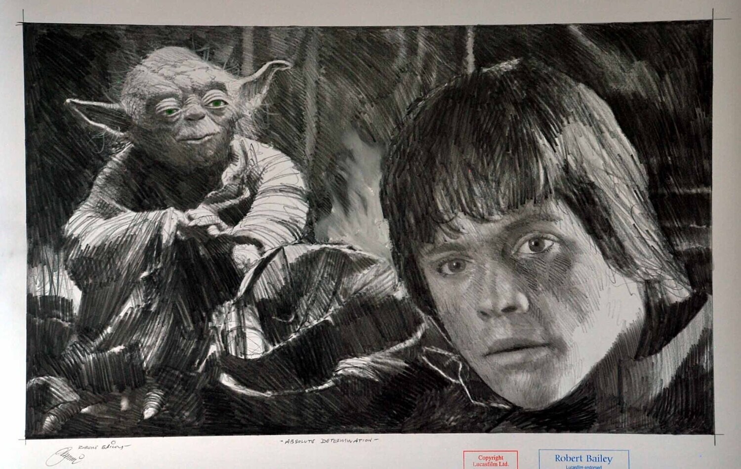 ABSOLUTE DETERMINATION. (Medium Size).