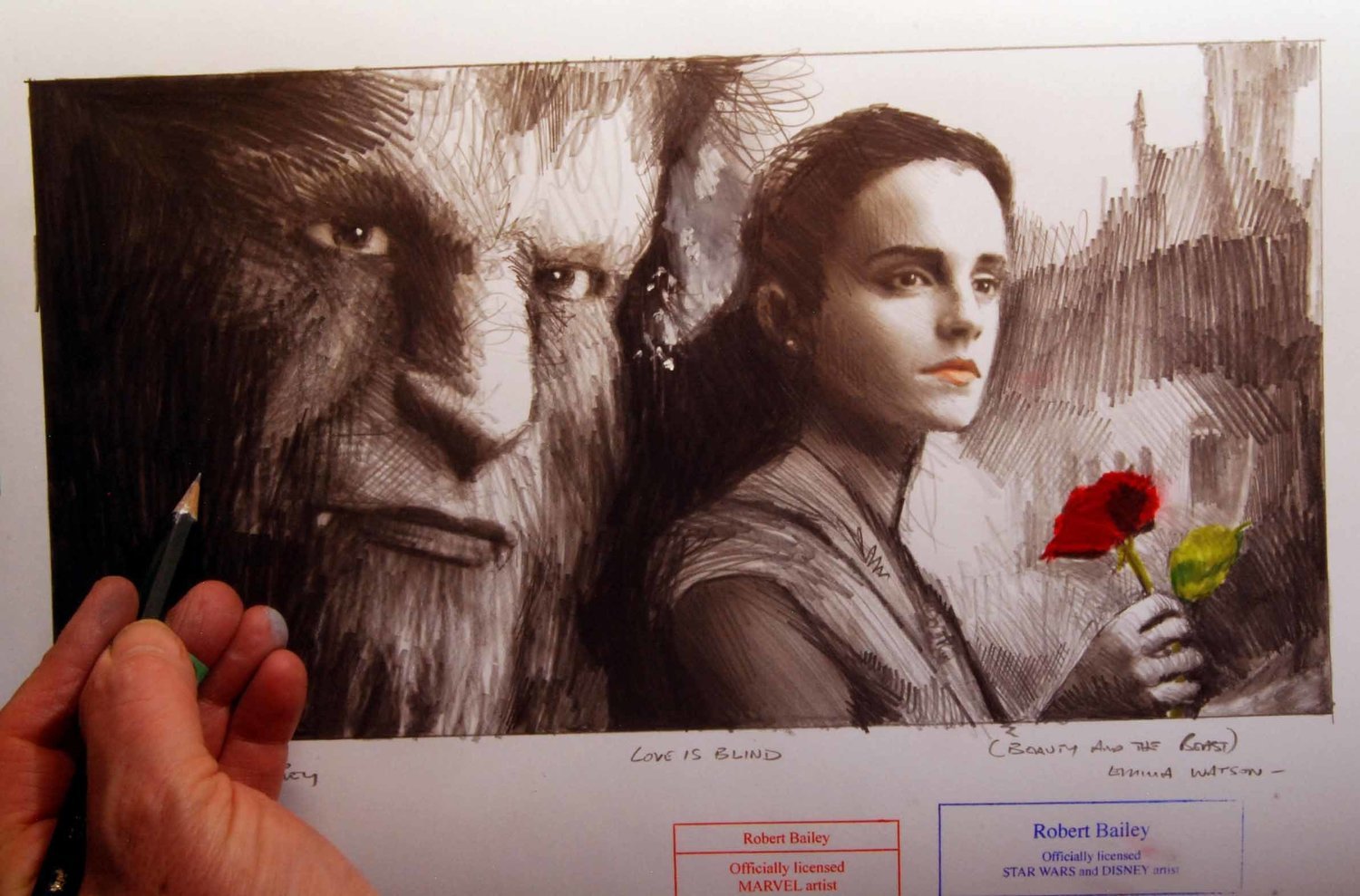 LOVE IS BLIND.  (Beauty and The Beast). Emma Watson.