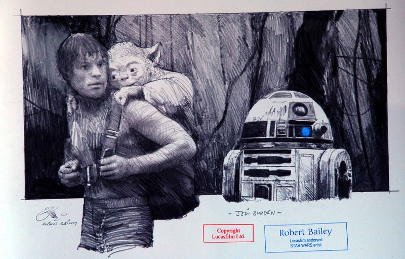 JEDI BURDEN.