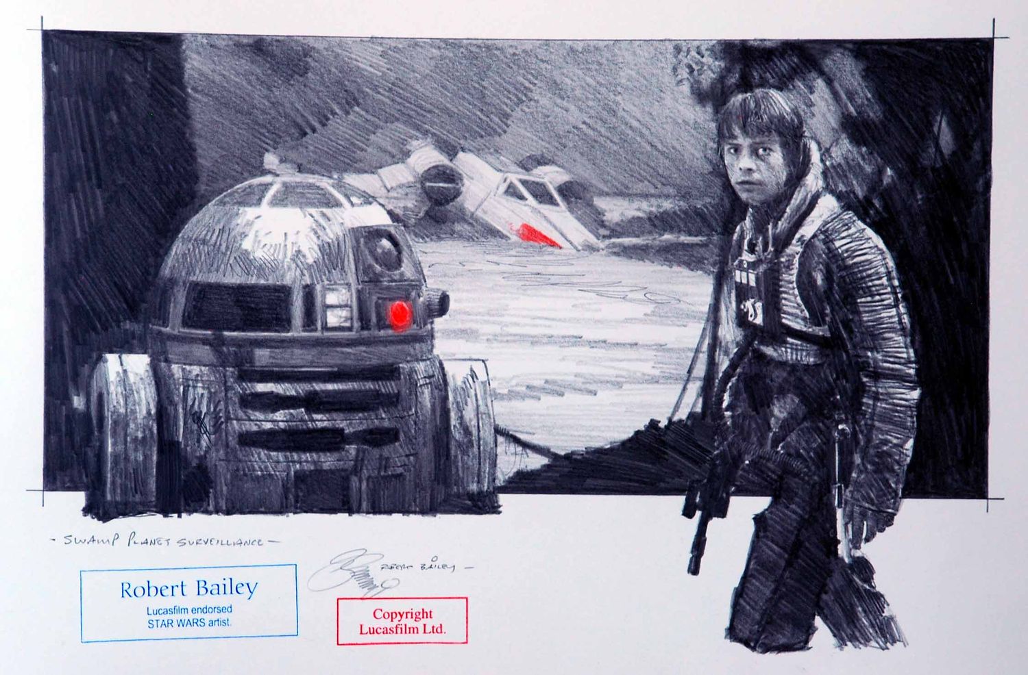 SWAMP PLANET SURVEILLANCE.