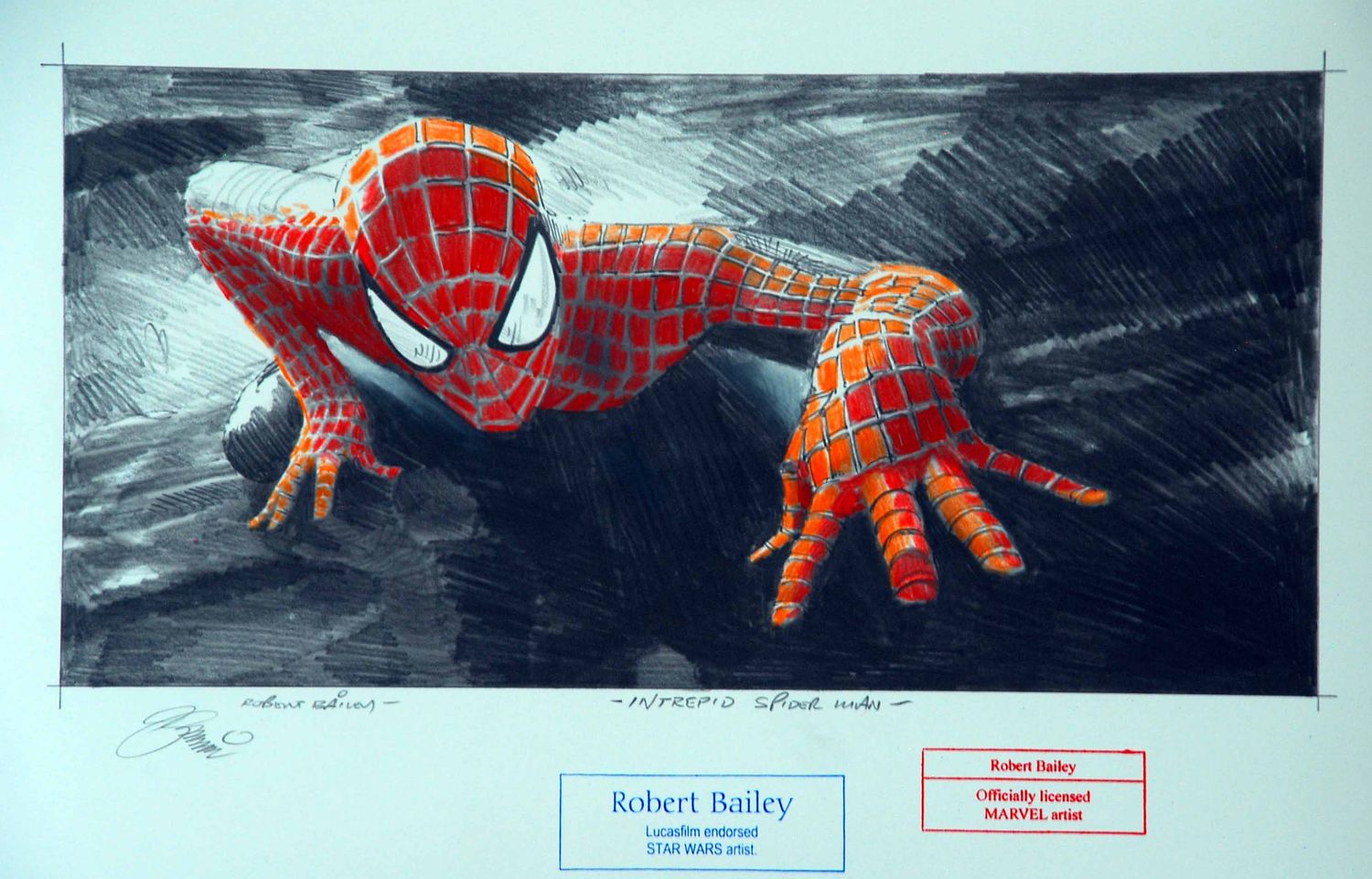 INTREPID SPIDER MAN.