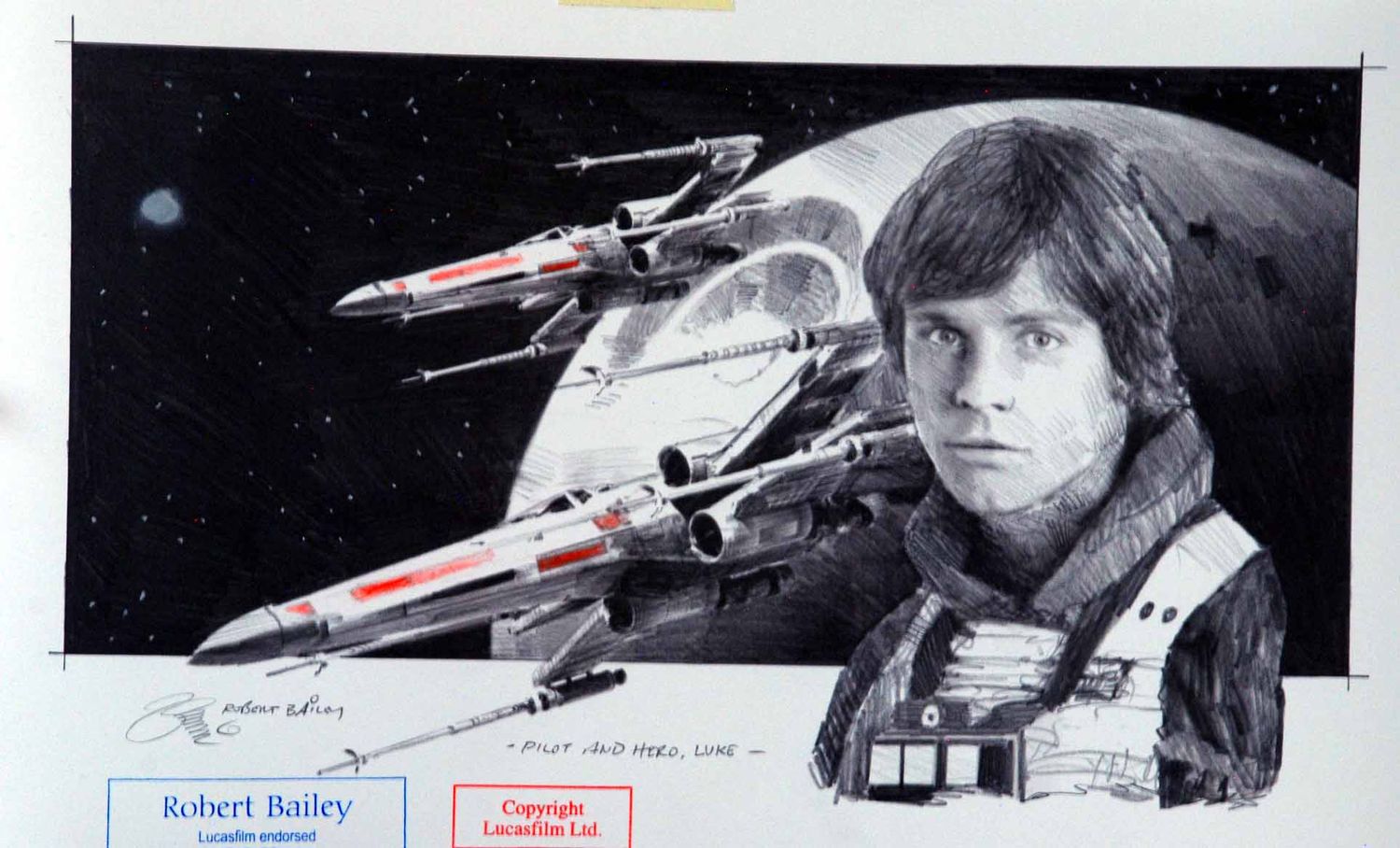 PILOT AND HERO, LUKE.