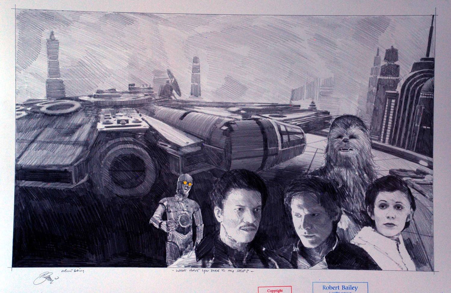 WHAT HAVE YOU DONE TO MY SHIP? (Medium Size).