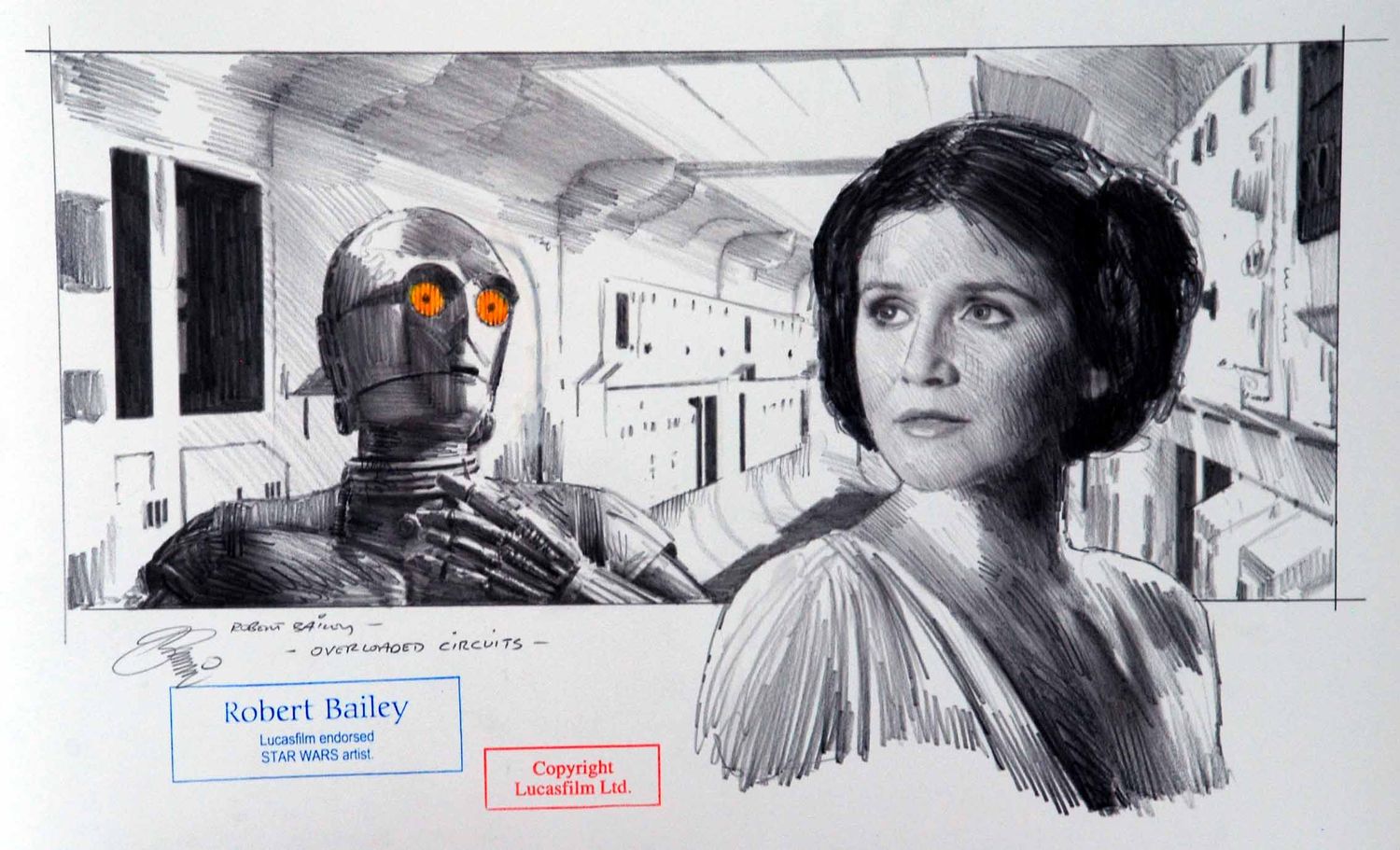 OVERLOADED CIRCUITS.