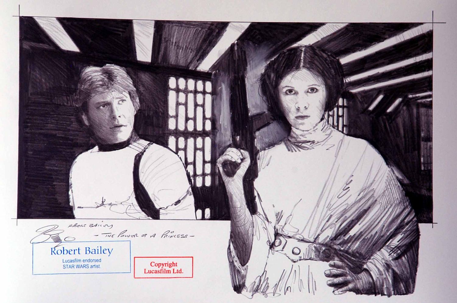 THE POWER OF A PRINCESS.