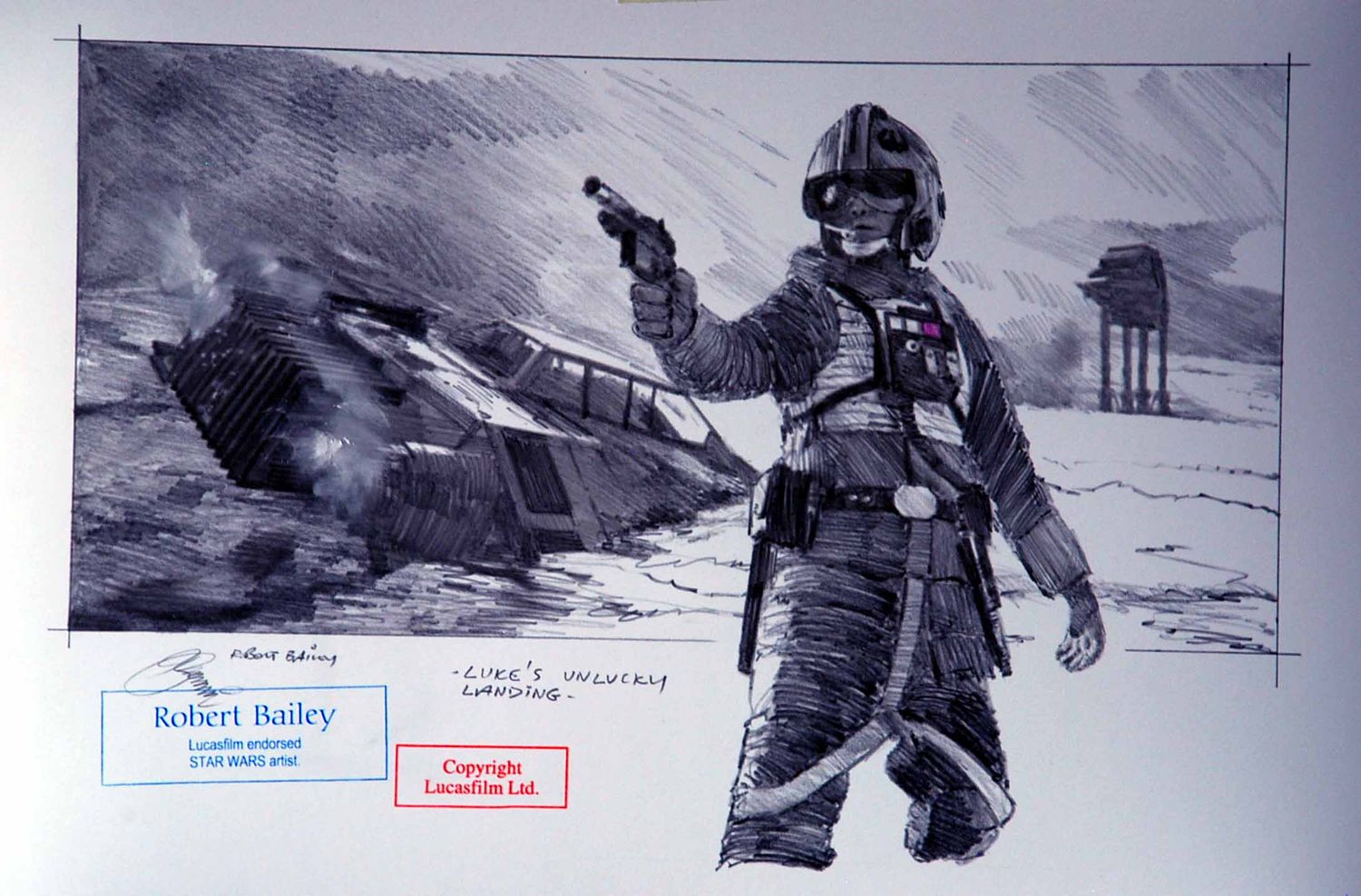 LUKE'S UNLUCKY LANDING.