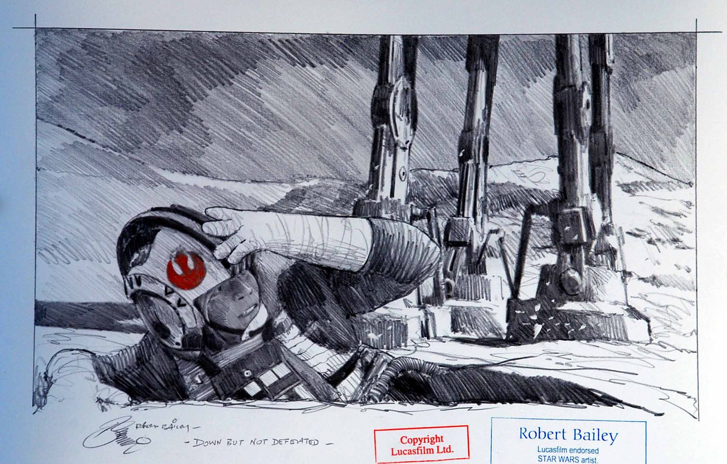 DOWN BUT NOT DEFEATED.