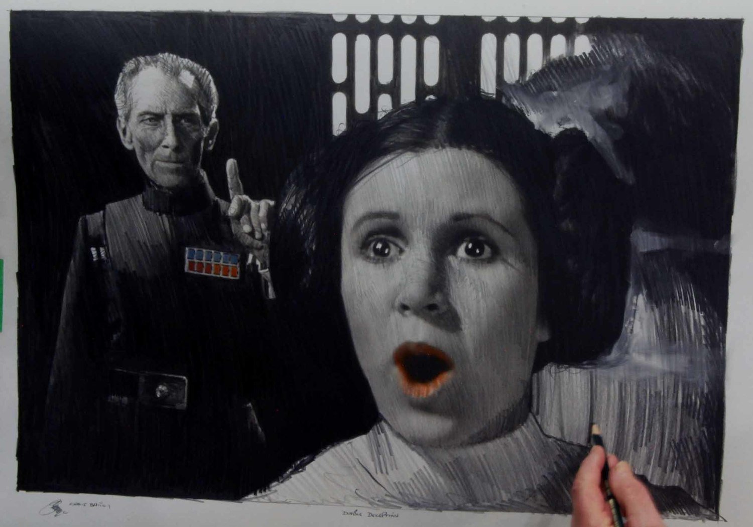 DOUBLE DECEPTION.  (Medium Size).