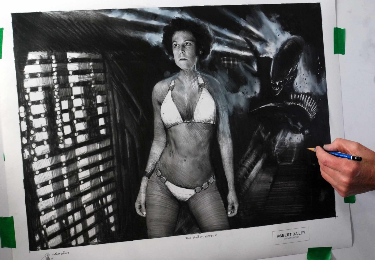 THE RIPLEY EFFECT.  (Medium Size).