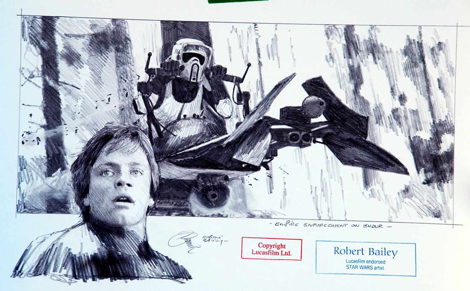 EMPIRE ENFORCEMENT ON ENDOR.