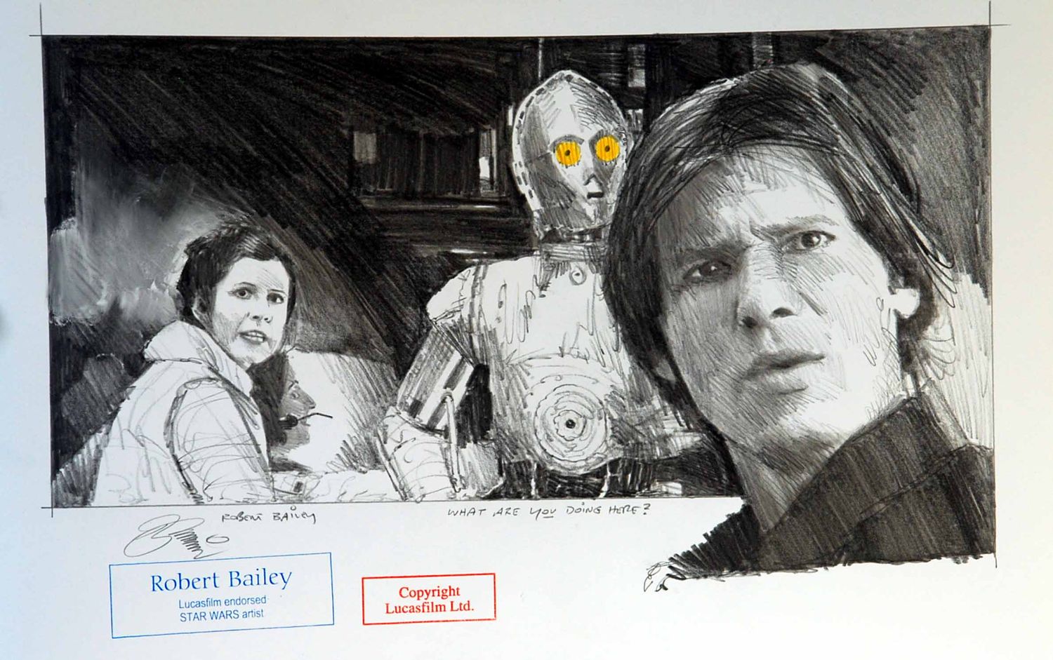 WHAT ARE YOU DOING HERE?