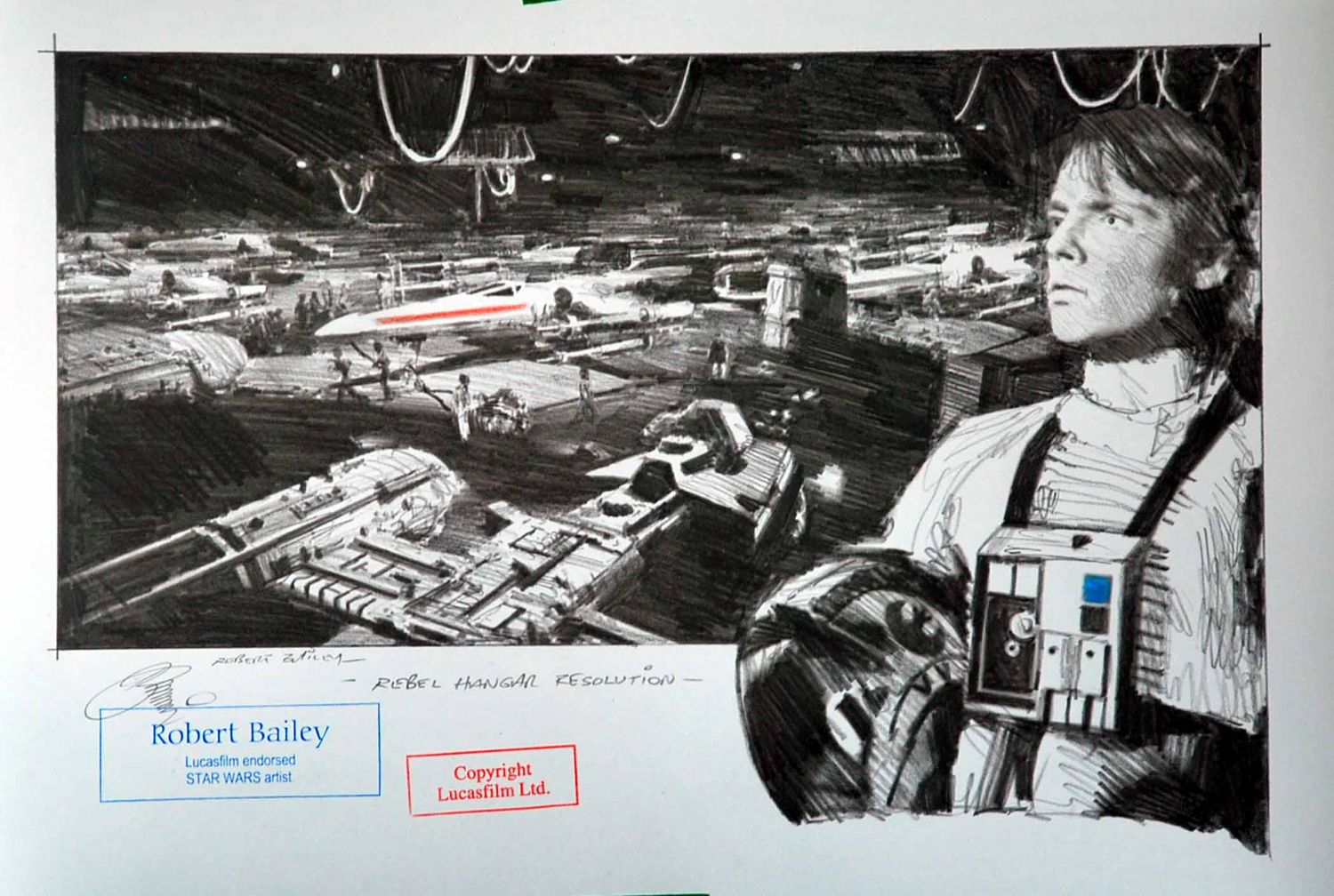 REBEL HANGAR RESOLUTION.