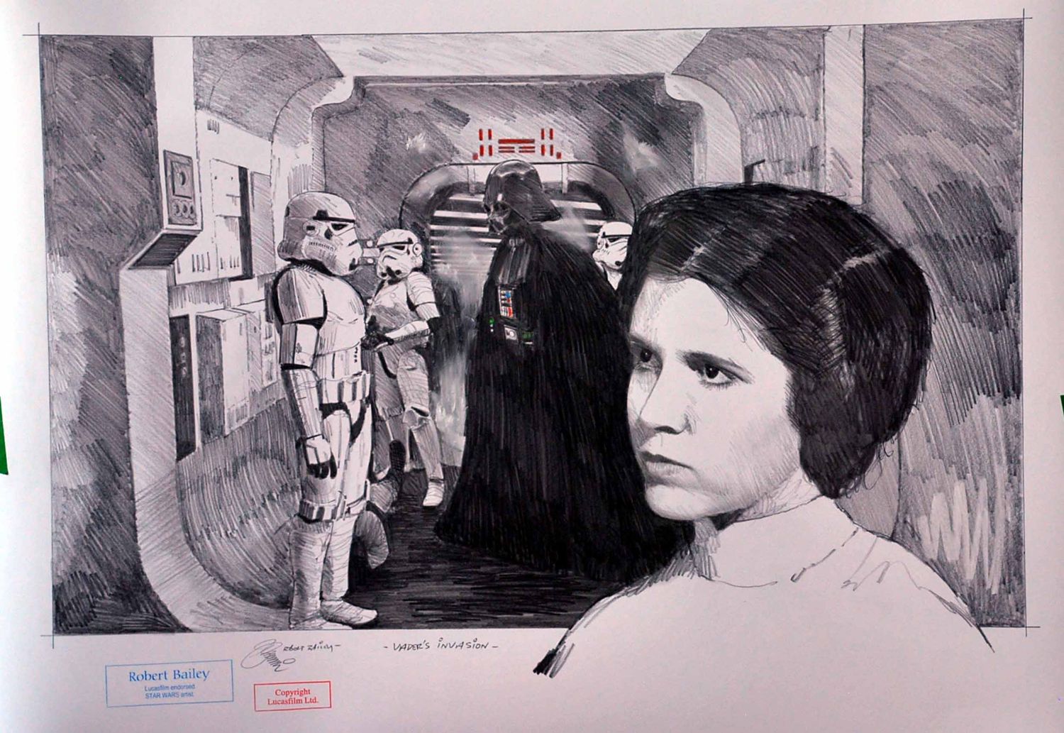 VADER'S INVASION.  (Medium Size).