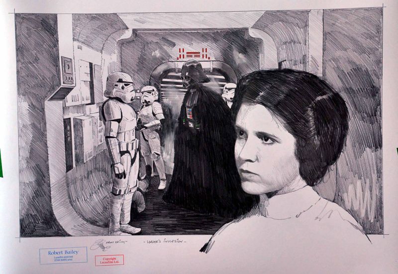 VADER'S INVASION.  (Medium Size).