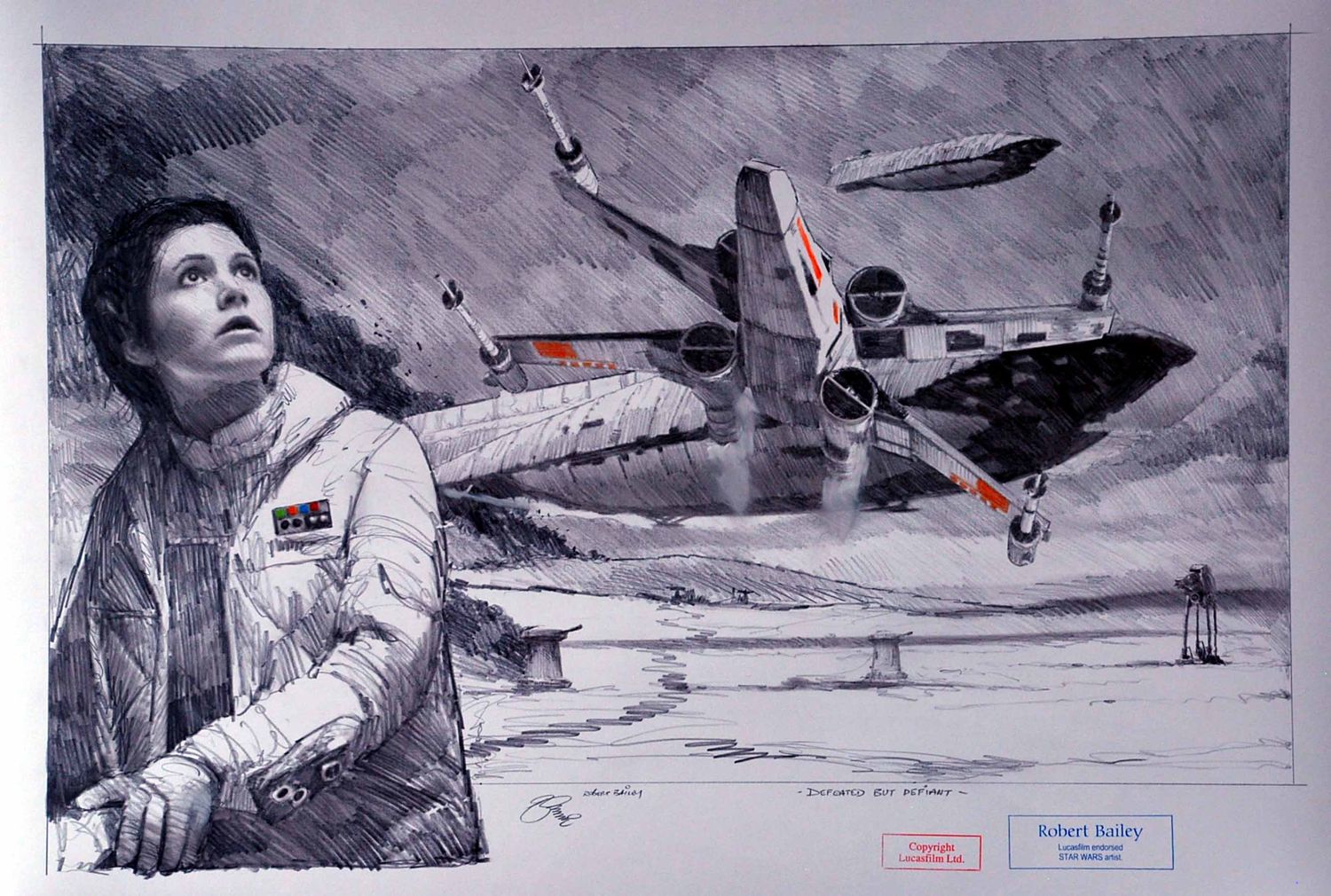 DEFEATED BUT DEFIANT.  (Medium Size).